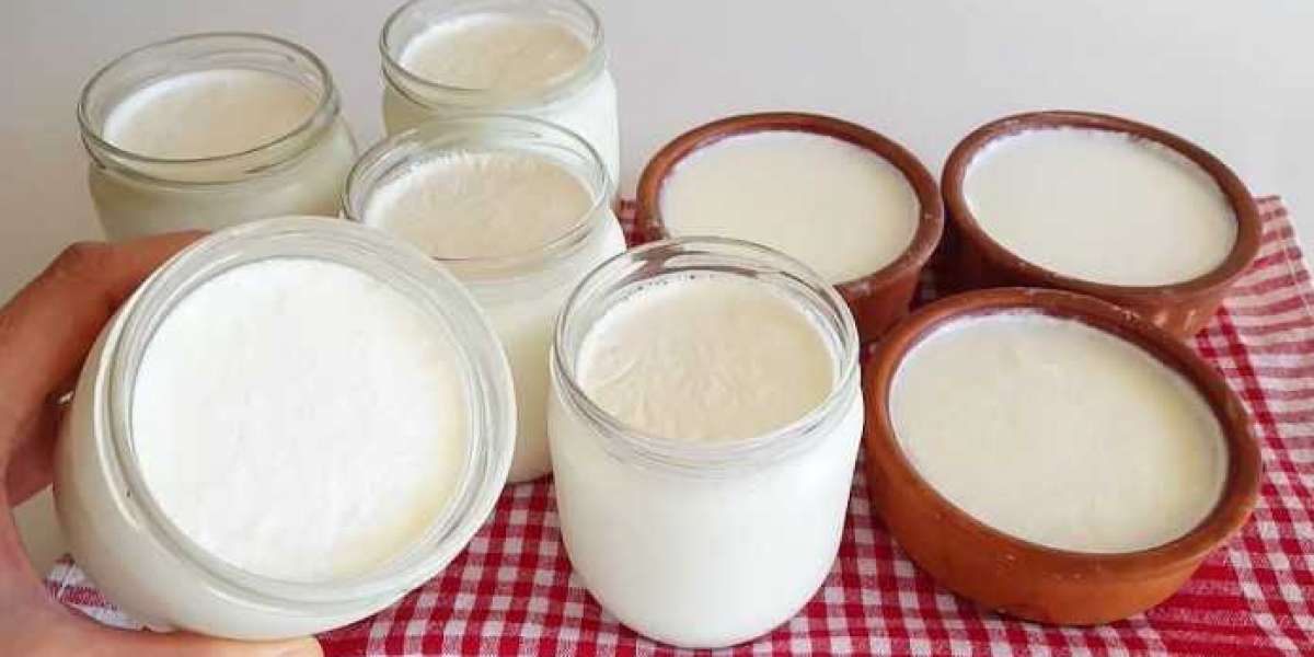 Yoğurt Nasıl Mayalanır? Süt Nasıl MAYALANIR Yoğurt Olur?