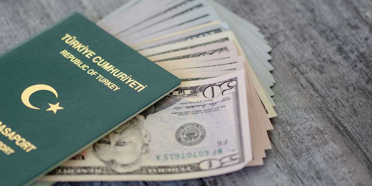 Kimler Yeşil Pasaport Alabilir? Yeşil Pasaport Nasıl Alınır?