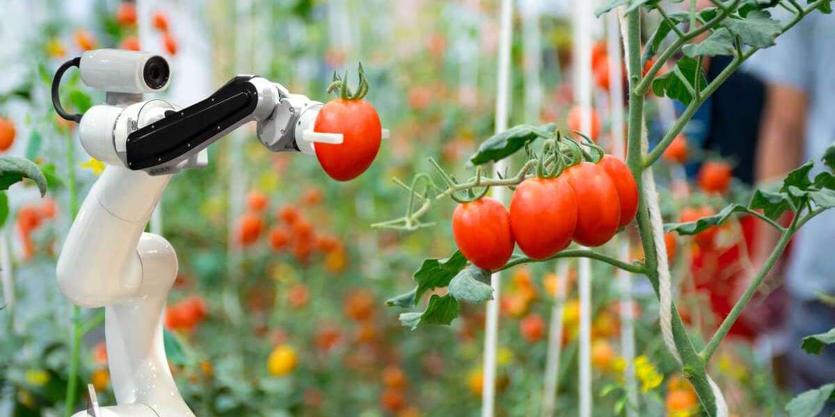Türkiye'de En Çok Yetişen Tarım Ürünü? Türkiye'de En Çok Yetiştirilen Tarım Ürünleri?
