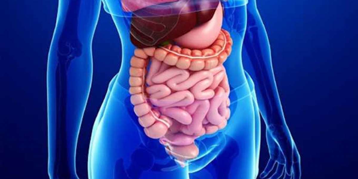 Gastroenteroloji Nedir Neye Bakar? Gastroenteroloji Hastalıkları Belirtileri?
