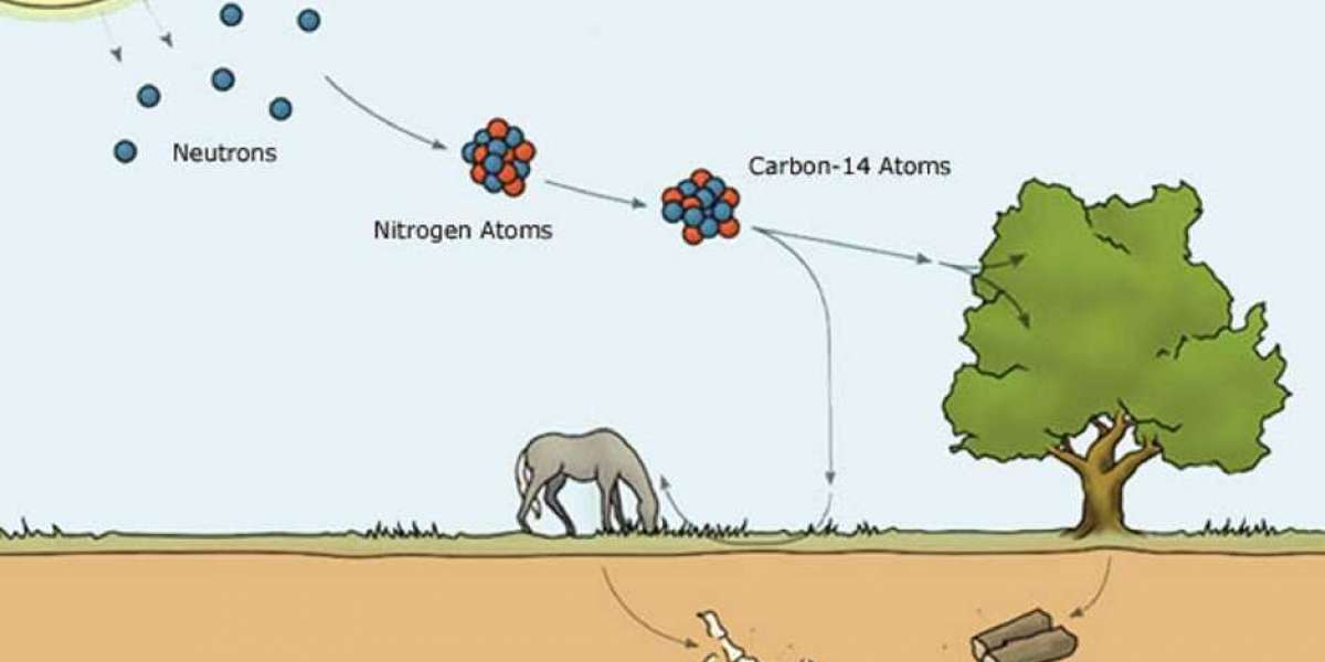 Karbon 14 Metodu Nedir Kısaca? Karbon 14 Metodu Nerede Kullanılır?