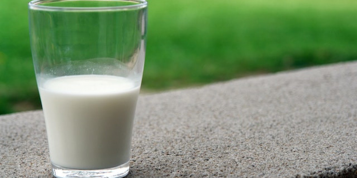 Süt Reçeli Nasıl Yapılır Tarifi? Süt Reçeli Yapmanın Püf Noktaları?