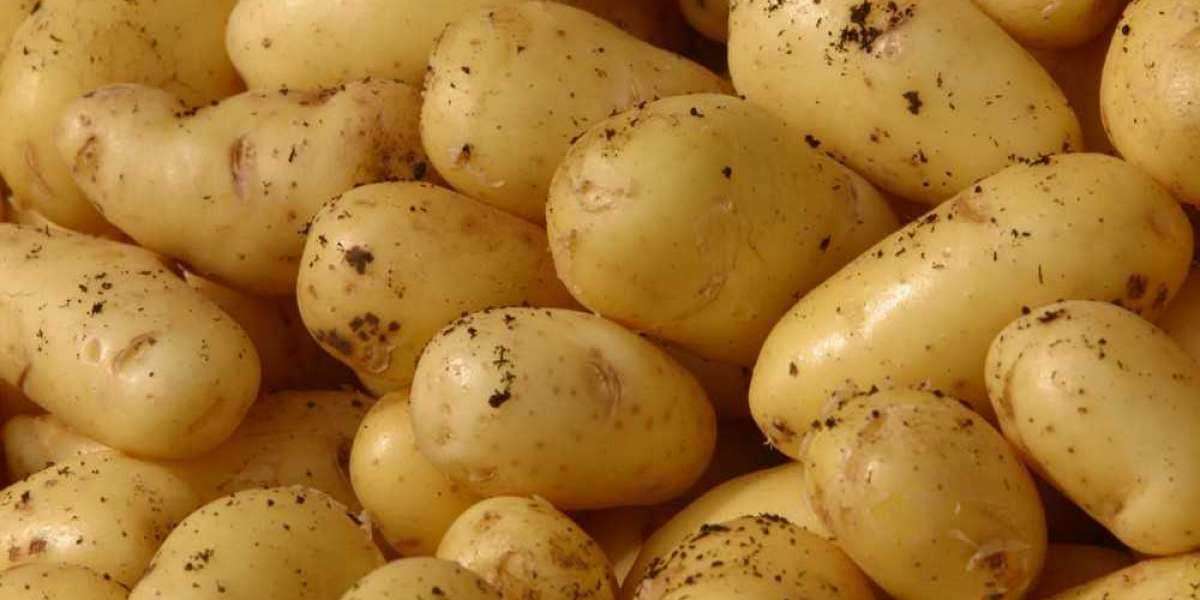 1 Kg Dondurulmuş Patates Kaç Kilodan Çıkar?
