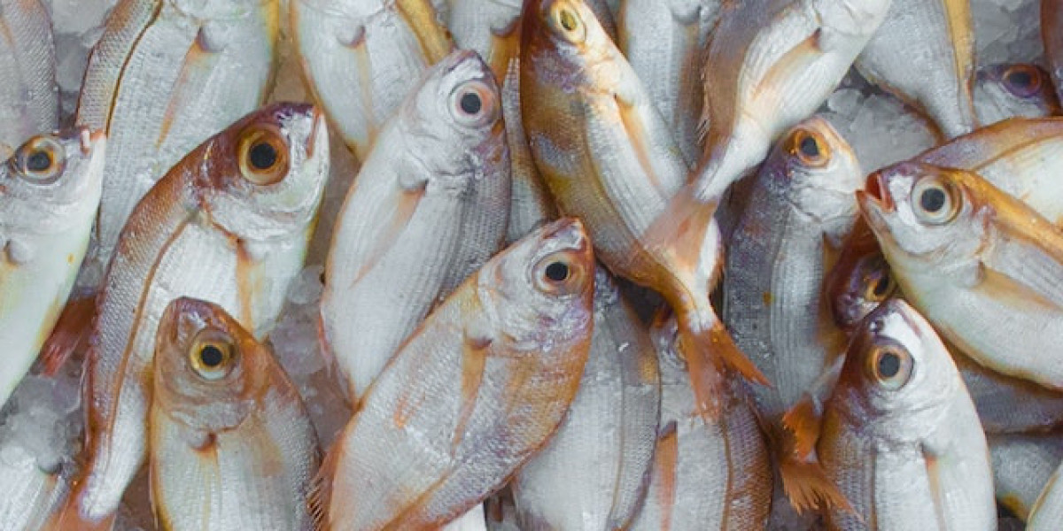 Balığın Yanına Sos Tarifleri? Sarımsaklı Balık Sosu Nasıl Yapılır?
