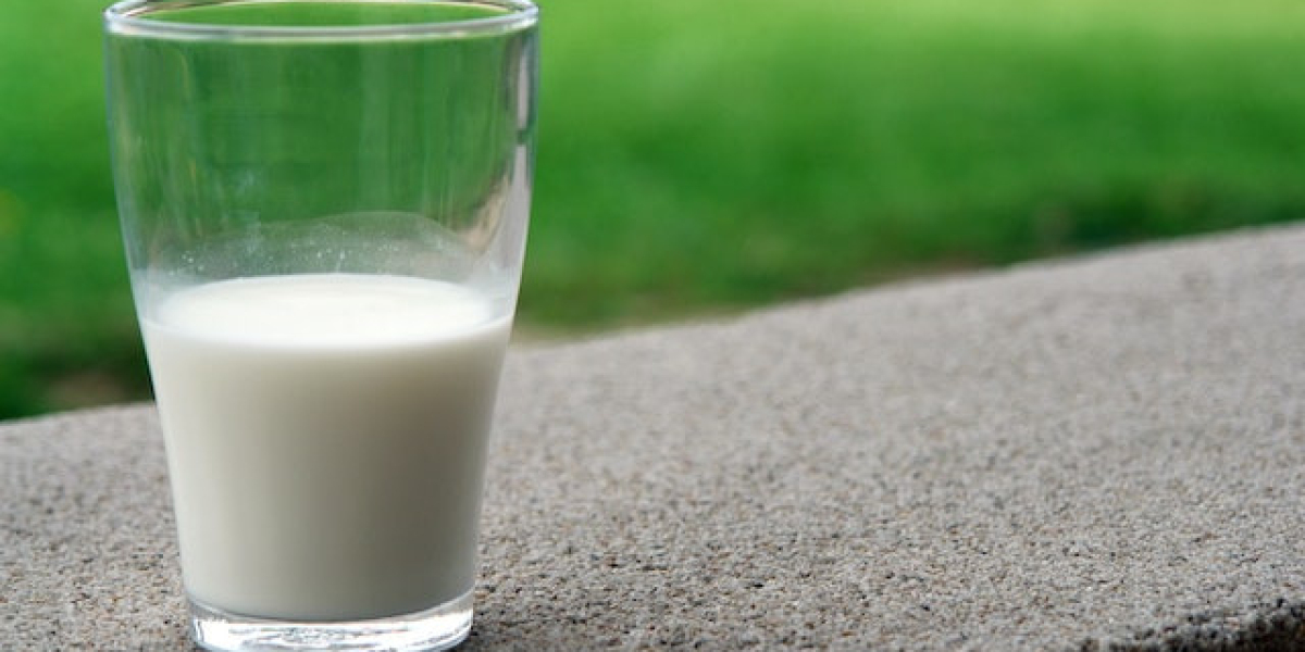 İnek Kaç Kilo Süt Verir? İnek Ortalama Kaç Kilo Süt Verir?