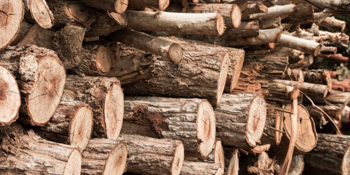Yaş Odun Kuruyunca Ne Kadar Fire Verir?