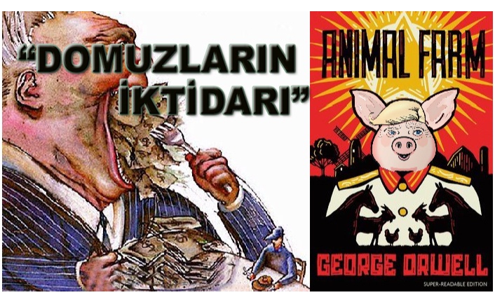 “BAZI HAYVANLAR DAHA EŞİTTİR”